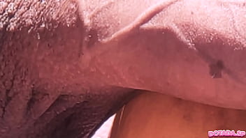 Dotadasp - Anal, Facial, Pussy, Big, Latina, Sucking, Rough, Real, Shaved, Fingering, Homemade, Deepthroat, Hai - Exotic - 2025 - Steamy - Scene - Video 1420325