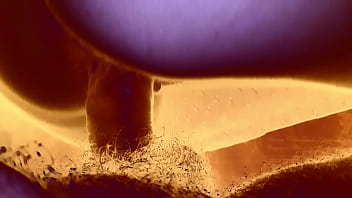 Ama De Casa Atrevida