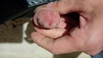 Penny Dicks Birds Songs