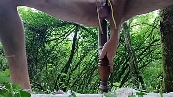 Baisé par un arbre, objectif 5 cm de diamètre (ça fait un peu mal)