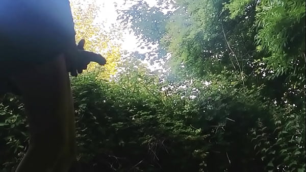 Cumshot, Wank - Cumshot - 2025 - Intense - Experience - Video 1562383