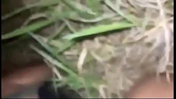 Gozadas, Leite-na-cara - Unknown - 2025 - Wild - Performance - Video 1612029