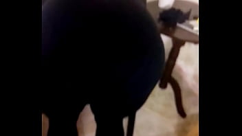 Me Gusta Hacer Que Se Le Pare La Vergaa..