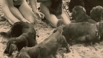 Dark Lantern Entertainment Presents _beauty And The Beast_ - hairy, retro, vintage, beast, hairy-pussy, equus, beastial, zoological - Video 1542394