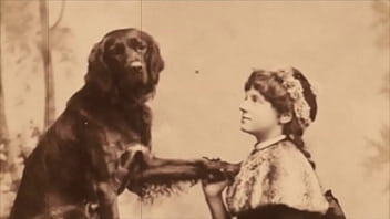 Dark Lantern Entertainment Presents _beauty And The Beast_ - retro, vintage, beast, beastial - Video 1537830