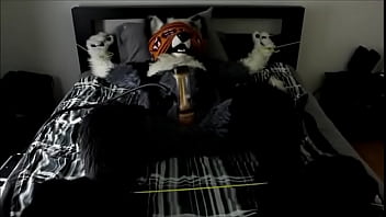 Fursuiter Milked Until Post Orgasm