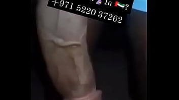 Bbc Bull, In Dubai