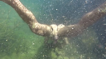 Outdoor, Underwater - Unknown - 2025 - Wild - Experience - Video 1531697