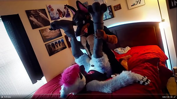 Duke Doberman On Blue Jay