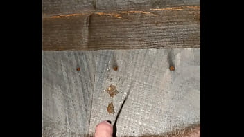 Ftm Pissing Off The Porch