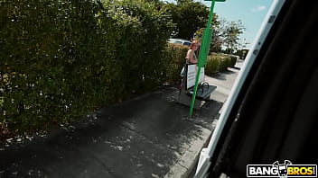 Does The Carpet Match The Drapes?