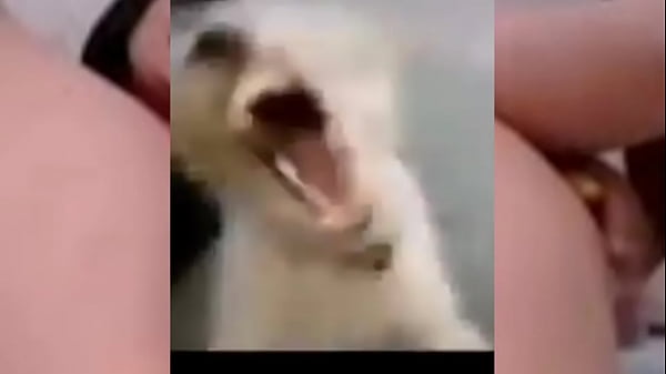 Para Los Señores Cachondos