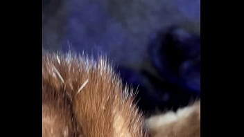 Fetish, Fur, Fur-coat - Unknown - 2025 - Passionate - Performance - Video 1521345