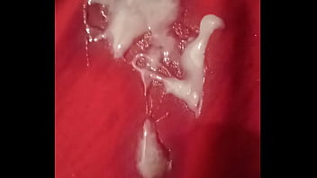 They Call Him Xvideos Pit Bull