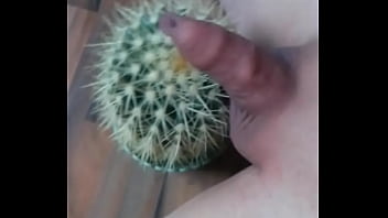 Mein Kleiner Dünner Schwanz