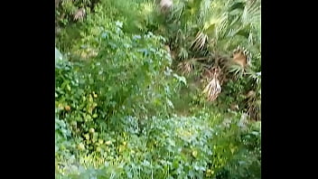 Verification Video - verification-video - Video 1333383