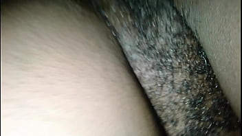 Video De Vérification - verification-video - Video 1333262