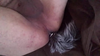 Cola De Zorro En La Cama