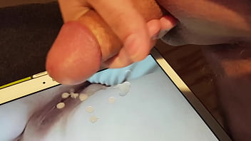 Tribut Für Finchicouple