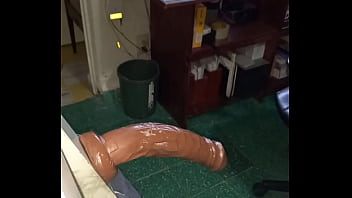 Dildo, Trans, Culo, Abriendo-culo - Shemale - 2025 - Wild - Scene - Video 1455790