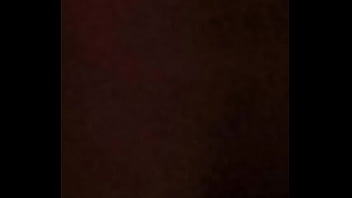 En Cuatro Patas Siempre