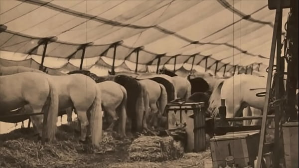 Dark Lantern Entertainment Presents _the Dragonfly_ Scene 3 Pt.1