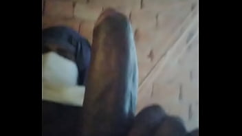 Verification Video - verification-video - Video 1292770