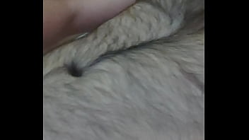 Ověřovací Video - verification-video - Video 1500978