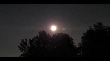 Night, Moon, Witch, Creatures, Howl, Werewolf, Pagan, Wicca, Full-moon, Howling, Night-creatures - Unknown - 2025 - Incredible - Session - Video 1495957