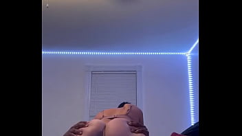 Verification Video - verification-video - Video 1283451