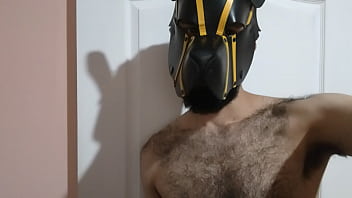 Vídeo De Verificação - verification-video - Video 1430583