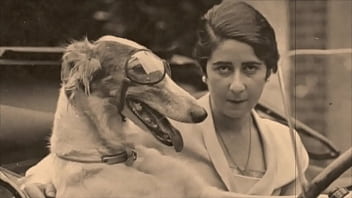 Dark Lantern Entertainment Presents _vintage Nature Girls_ - ass, hairy, retro, vintage, hairy-pussy, natural-tits, animal, بوسى, hors-sax-com - Video 1419160