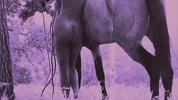 Dark Lantern Entertainment Presents _vintage Nature Girls_ - hairy, retro, nature, vintage, hairy-pussy, naturism, natural-tits - Video 1421476