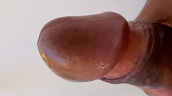 Pau Com Cabeça Linda