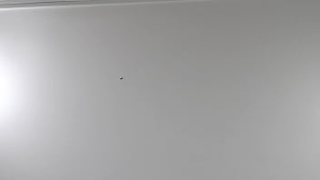 Verification Video - verification-video - Video 1402051