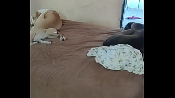 Mi Culo Caliente - trans, caliente, culote - Video 1385565