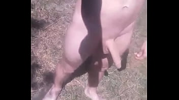 Showing Dick On The Lake
