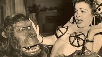 Dark Lantern Entertainment Presents _vintage Petmania_ - hairy, retro, vintage, hairy-pussy - Video 1370567