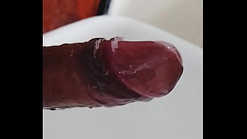 Mi Verga Bien Humeda