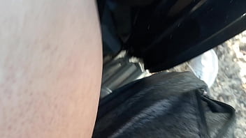 Campo, Amante, Infiel, Enamorada, Cerro - Unknown - 2025 - Wild - Performance - Video 1329212