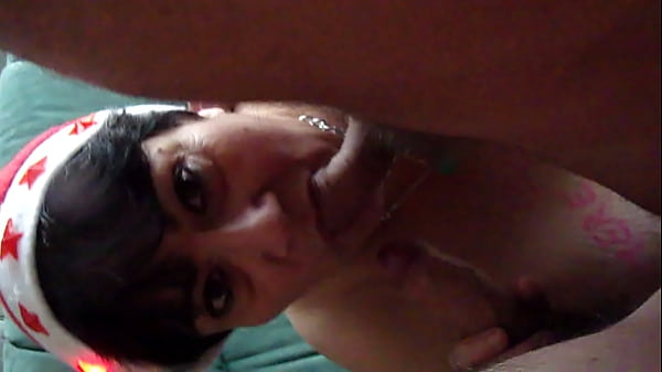 Chienne Marie En Mère Noël