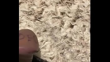 Vídeo De Verificación - verification-video - Video 1295713