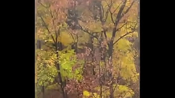 Verification Video - verification-video - Video 1277637