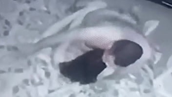 Cámara De Seguridad