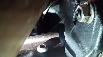 Cock, Shaved - Shaved_pussy - 2025 - Sexy - Session - Video 1183307