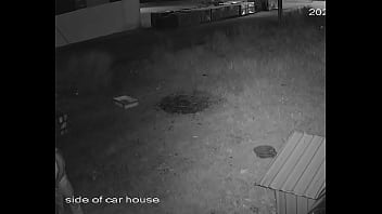 Licking, Cctv - Unknown - 2025 - Wild - Show - Video 946291