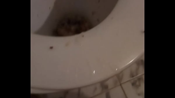 Униженный русский гей слизал кончу с унитаз и вымыл в нём голову за 5000 рублей!