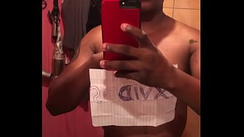 Verification Video - verification-video - Video 1199596