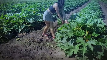 Тракторист чуть не съехал в обрыв когда случайно заметил как идут съемки порно фильма прямо на его плантации с кабачк...