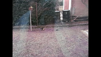 Masturbation, Orgasm - Unknown - 2025 - Sexy - Experience - Video 1145872